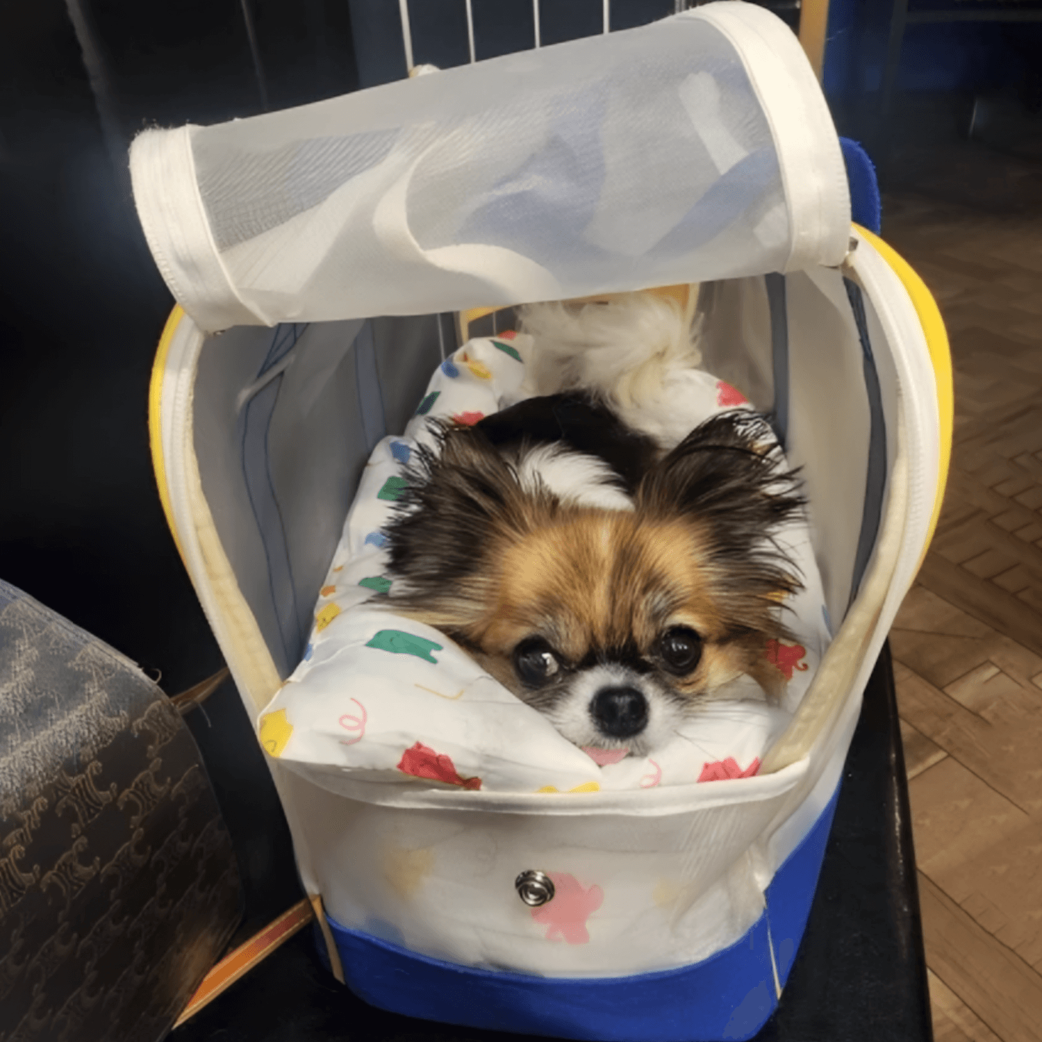 Baby Carrier