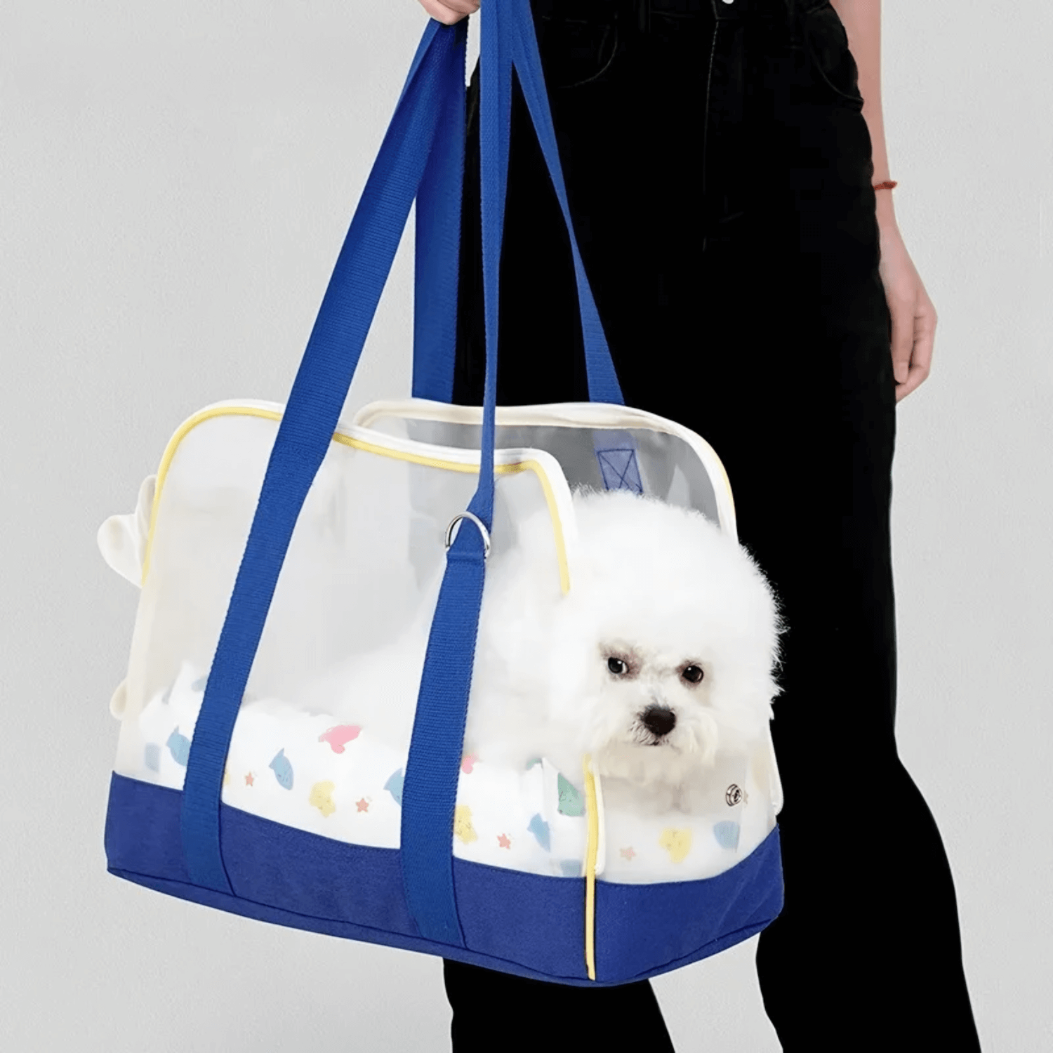 Baby Carrier