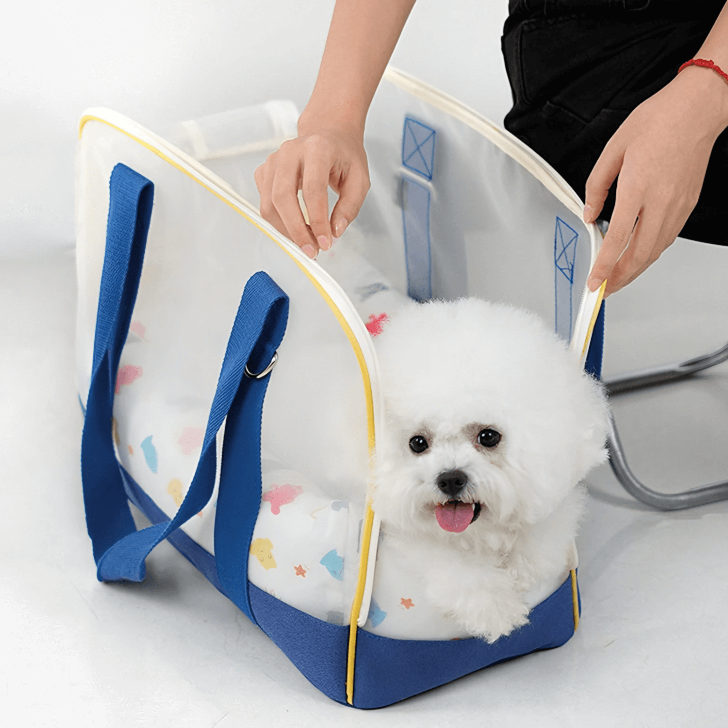 Baby Carrier