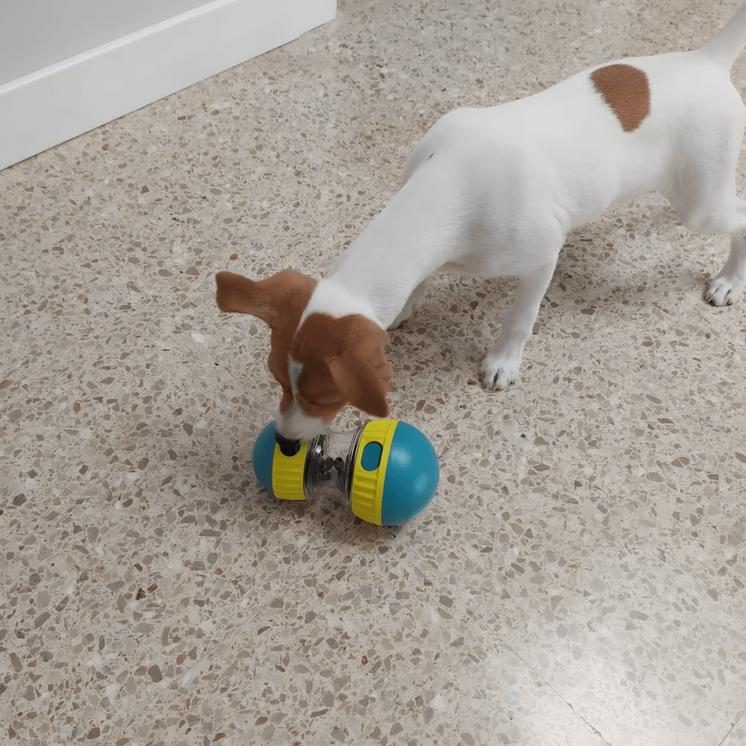 Gluttonous Toy