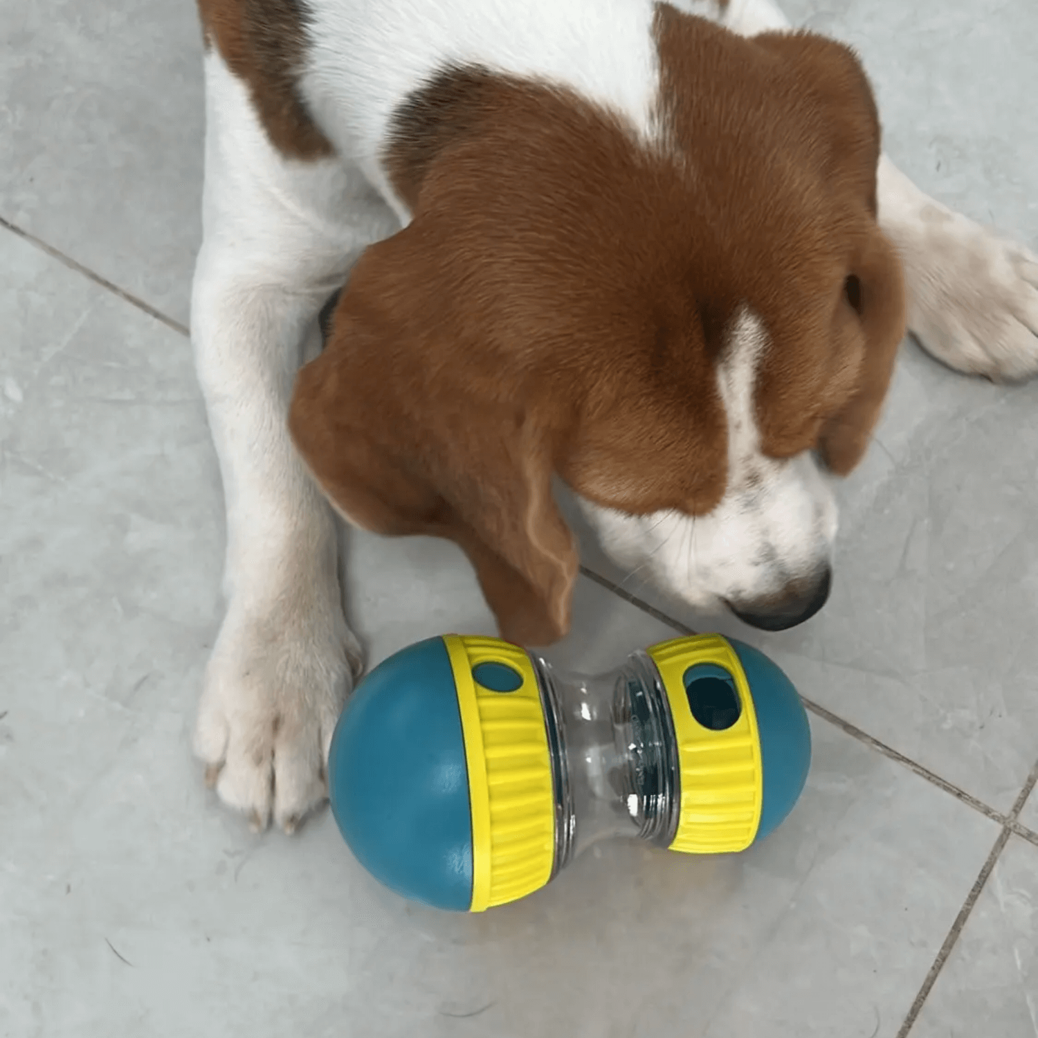 Gluttonous Toy