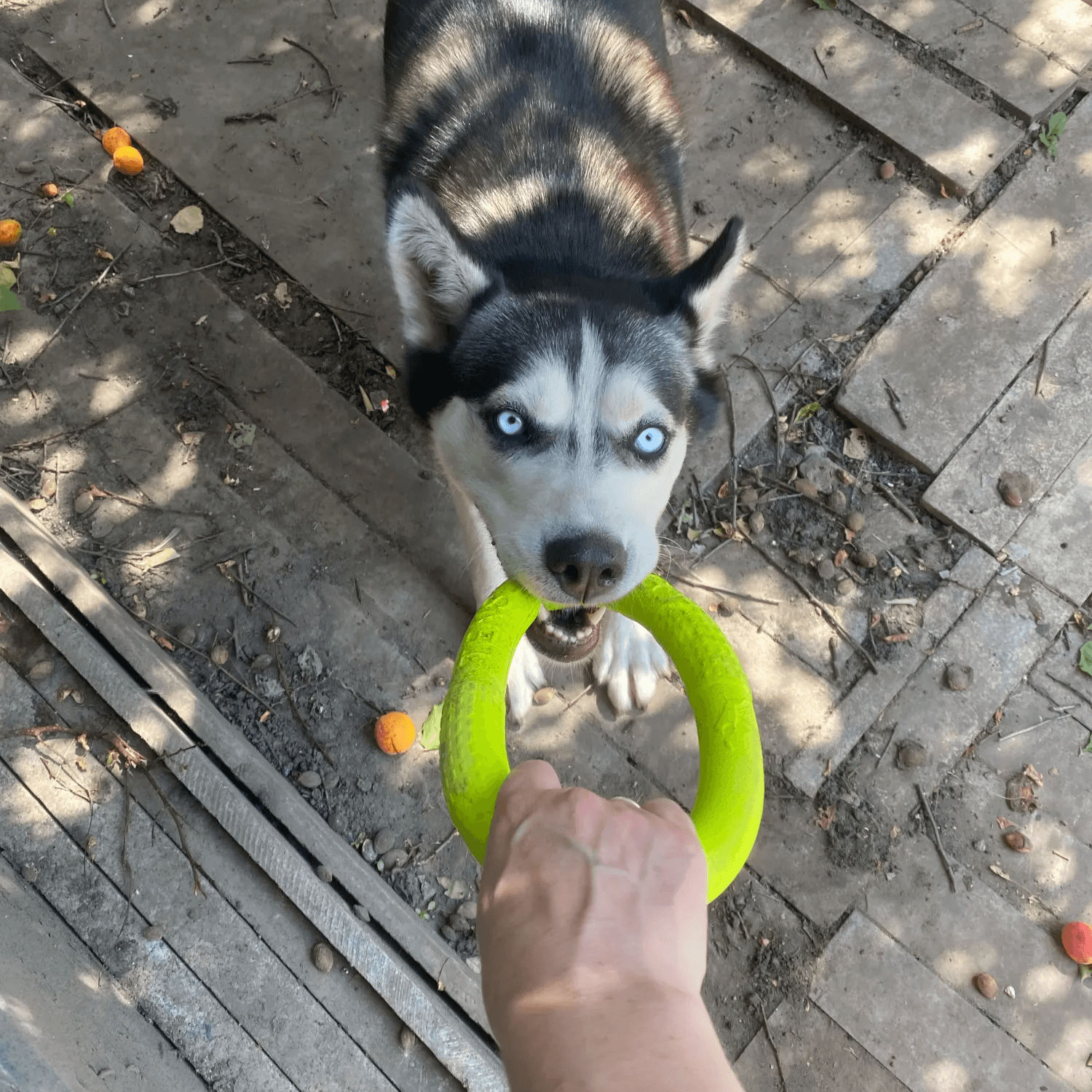 Go Ring Green Toy
