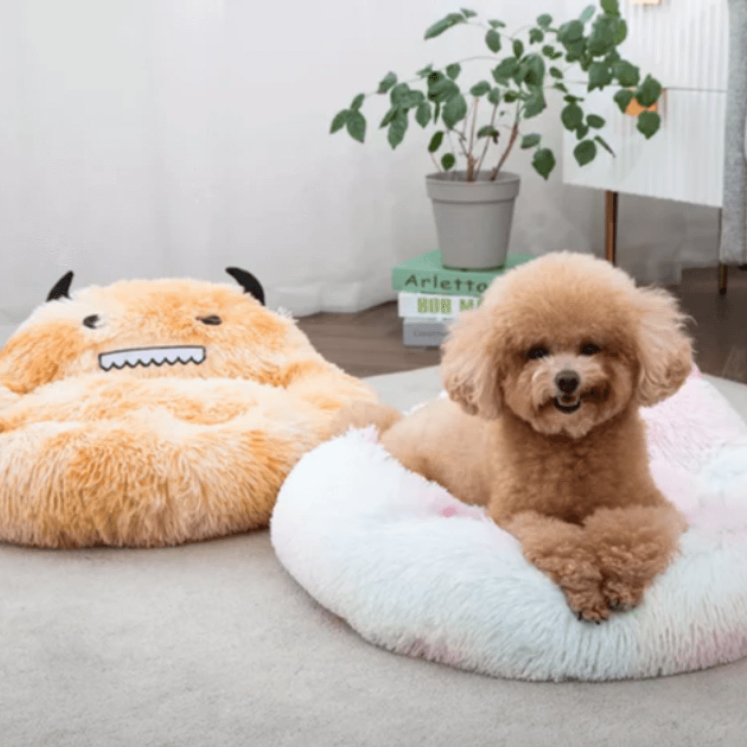 Little Monster Bed