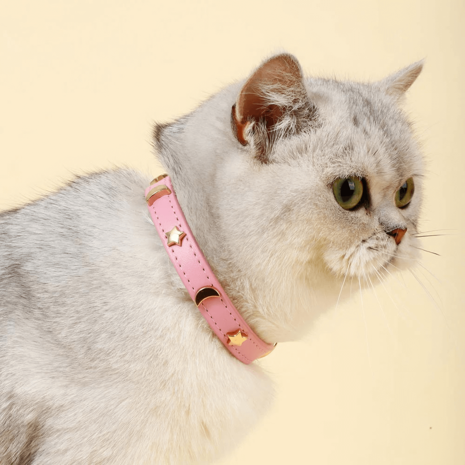 Constellation Pink Collar