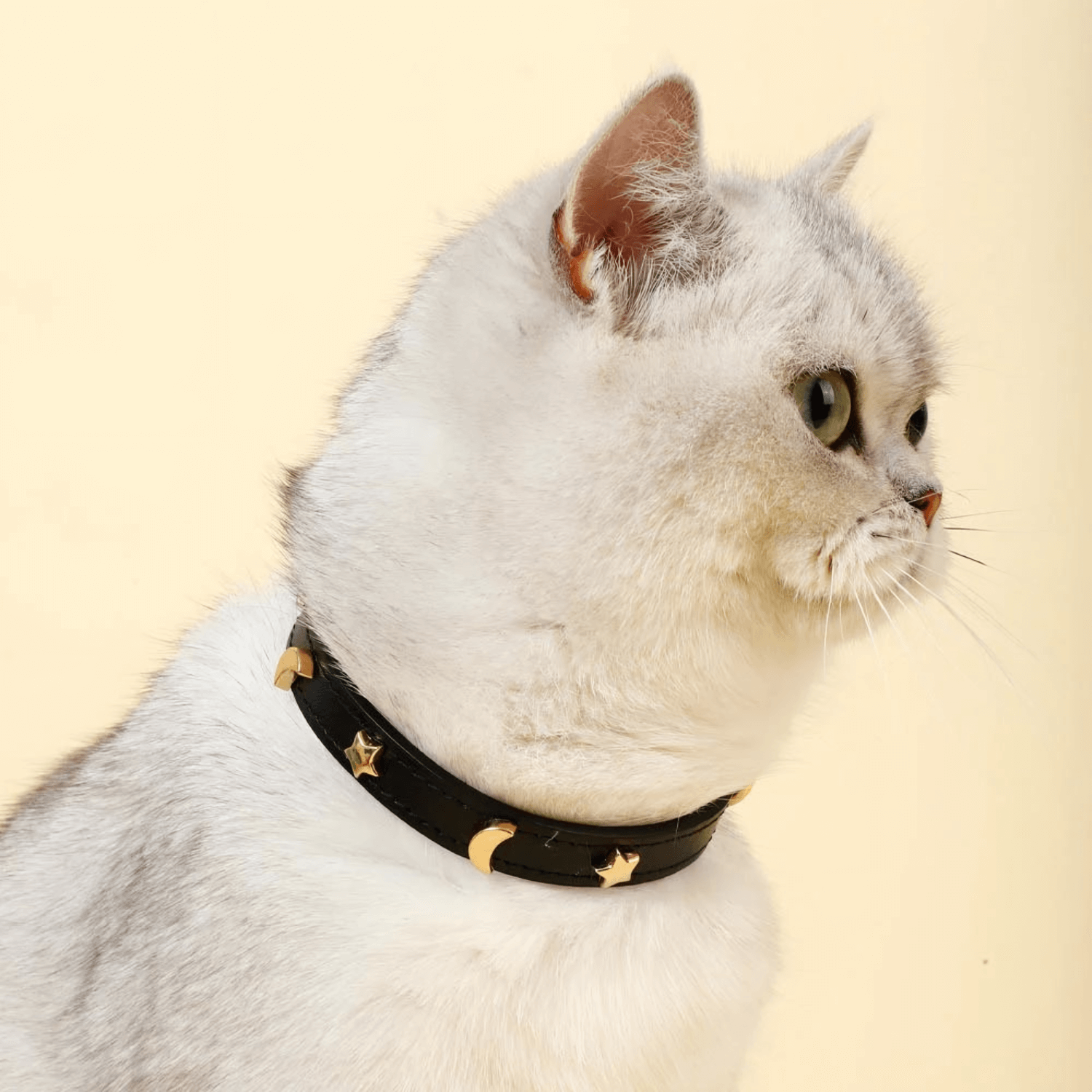 Constellation Collar