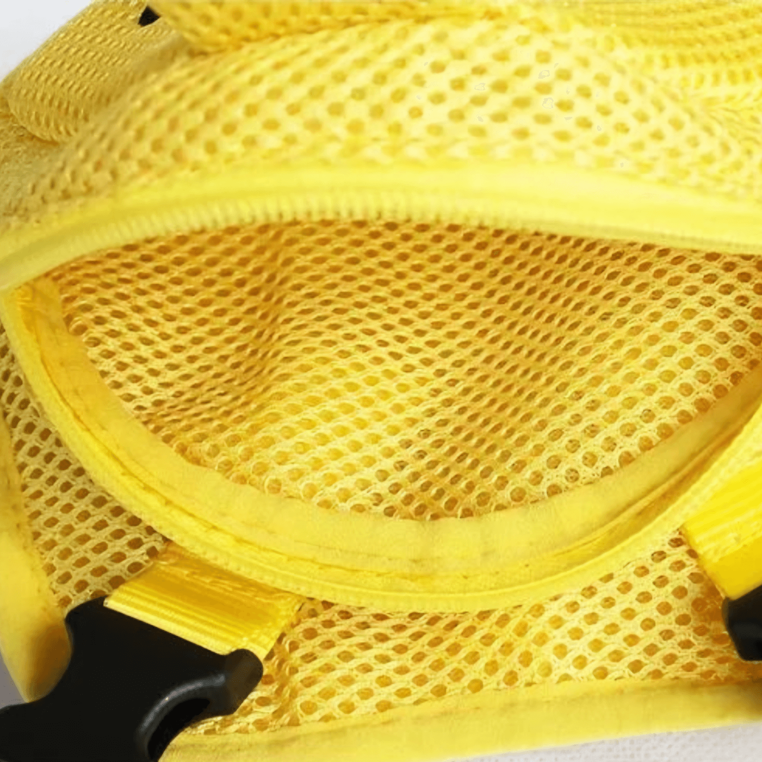 LittleDuck Harness & Leash