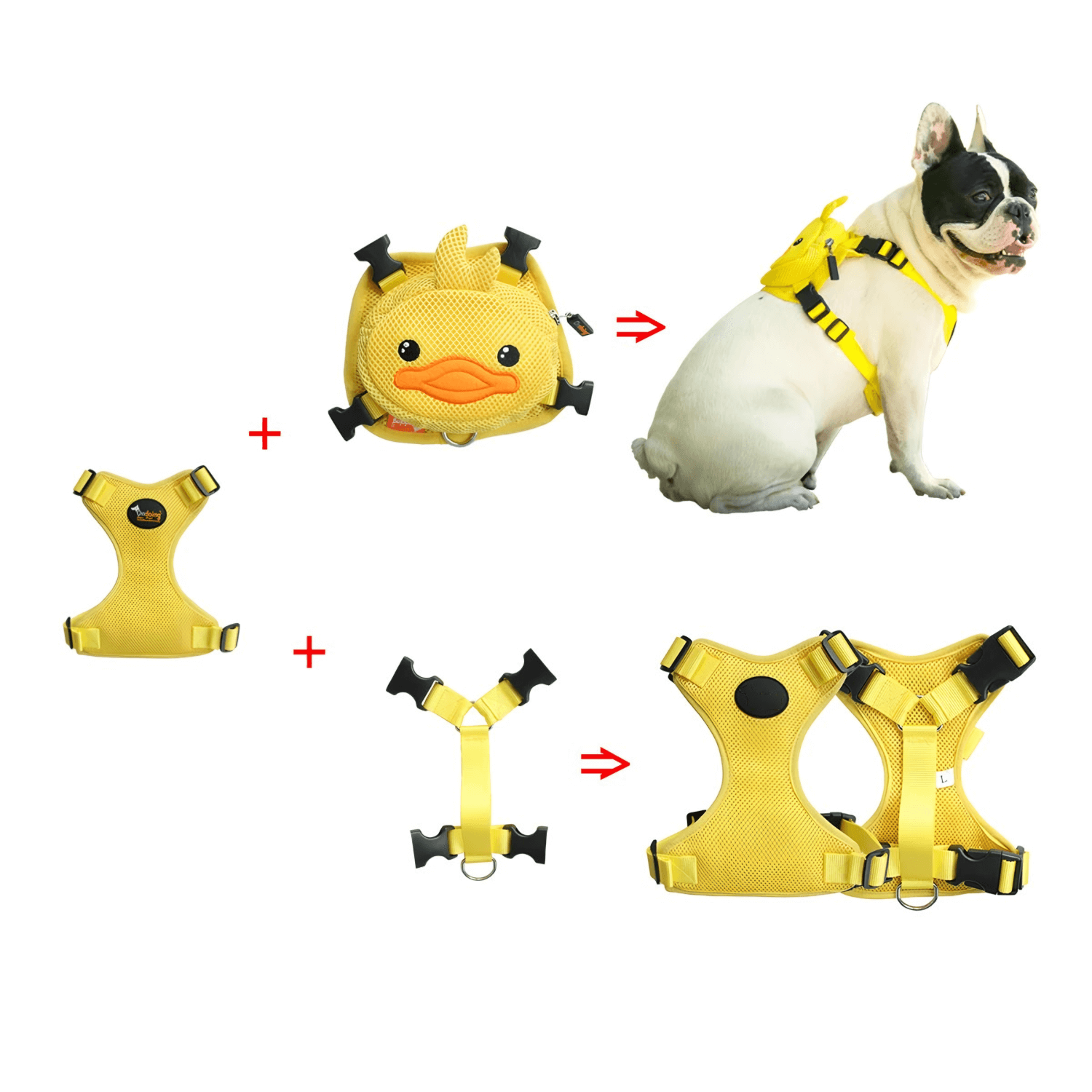 LittleDuck Harness & Leash