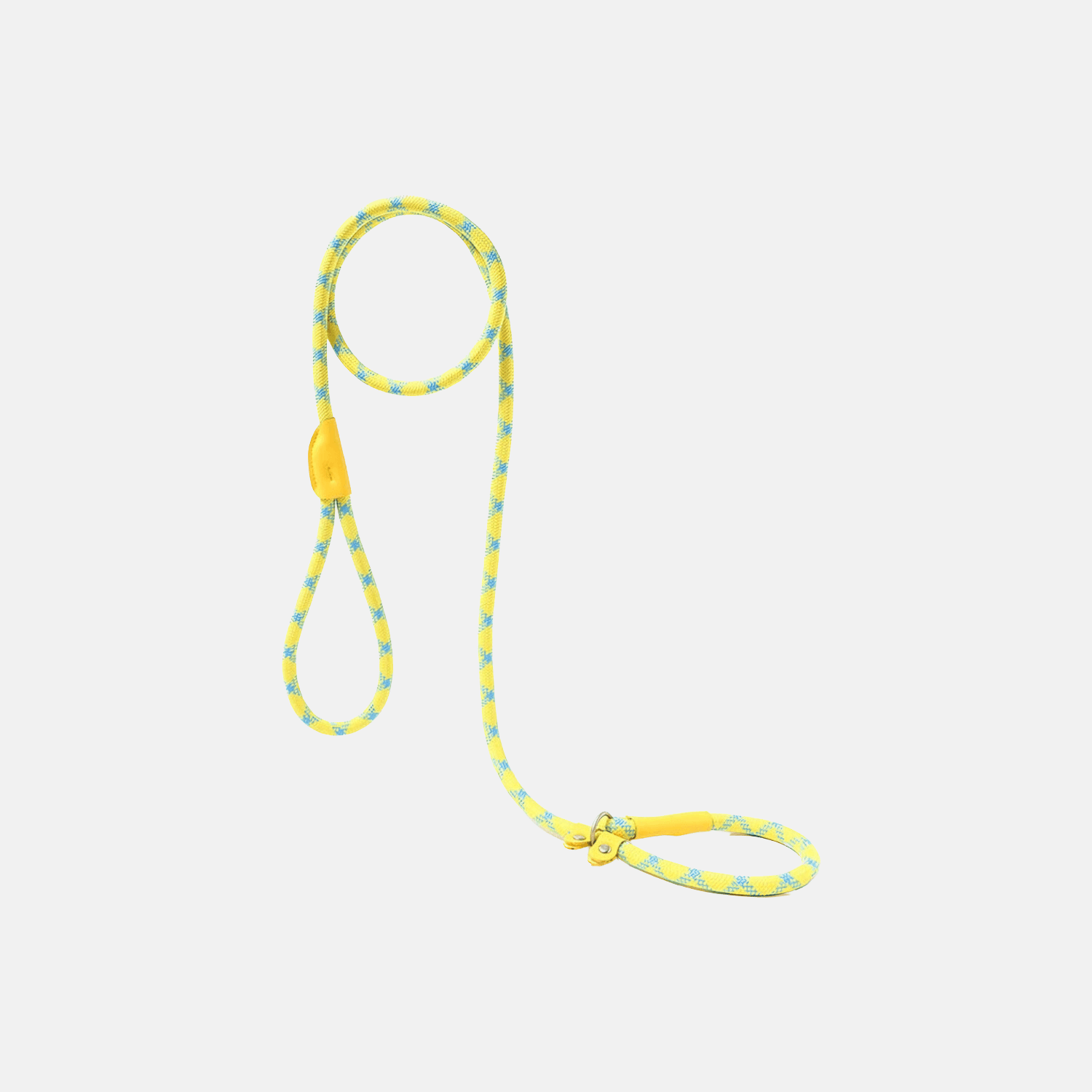 Correction Leash