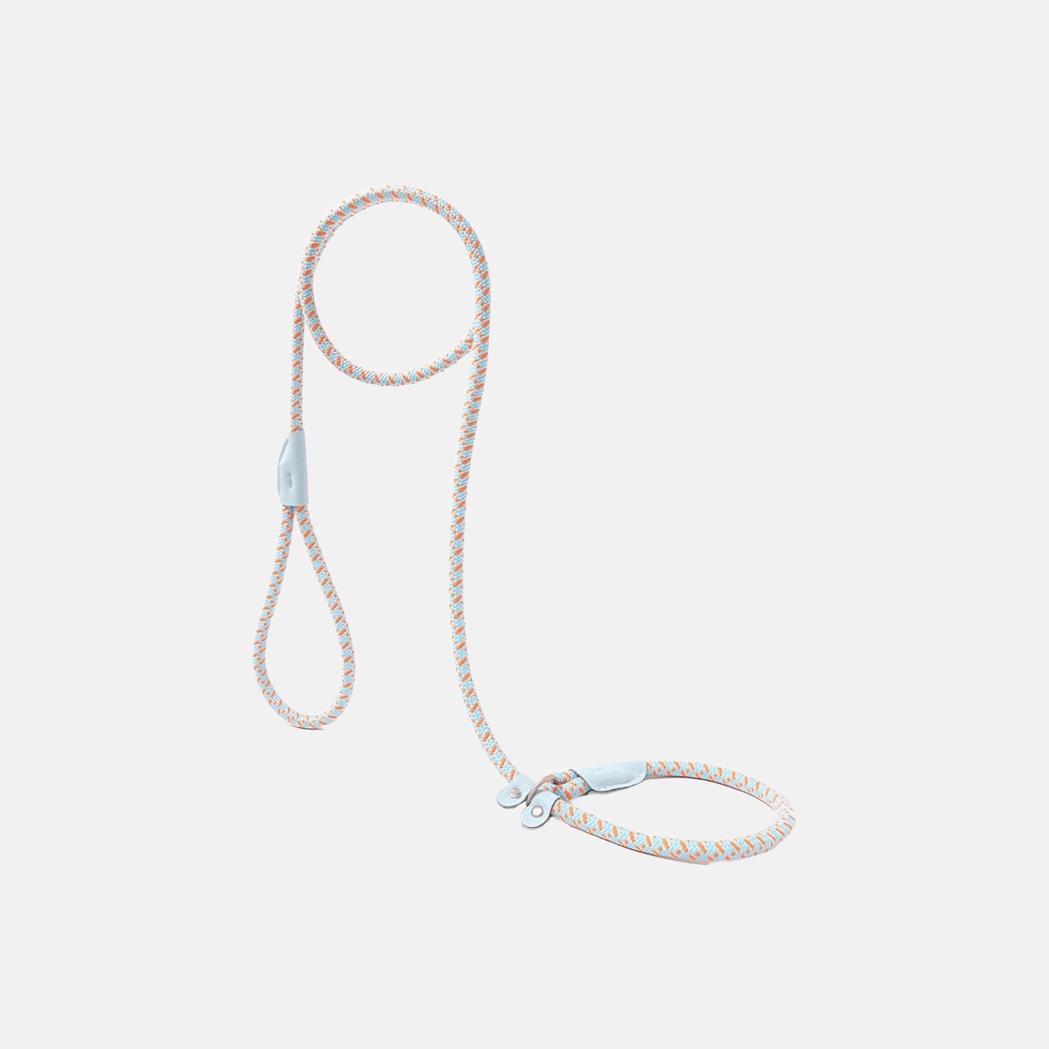 Correction Leash