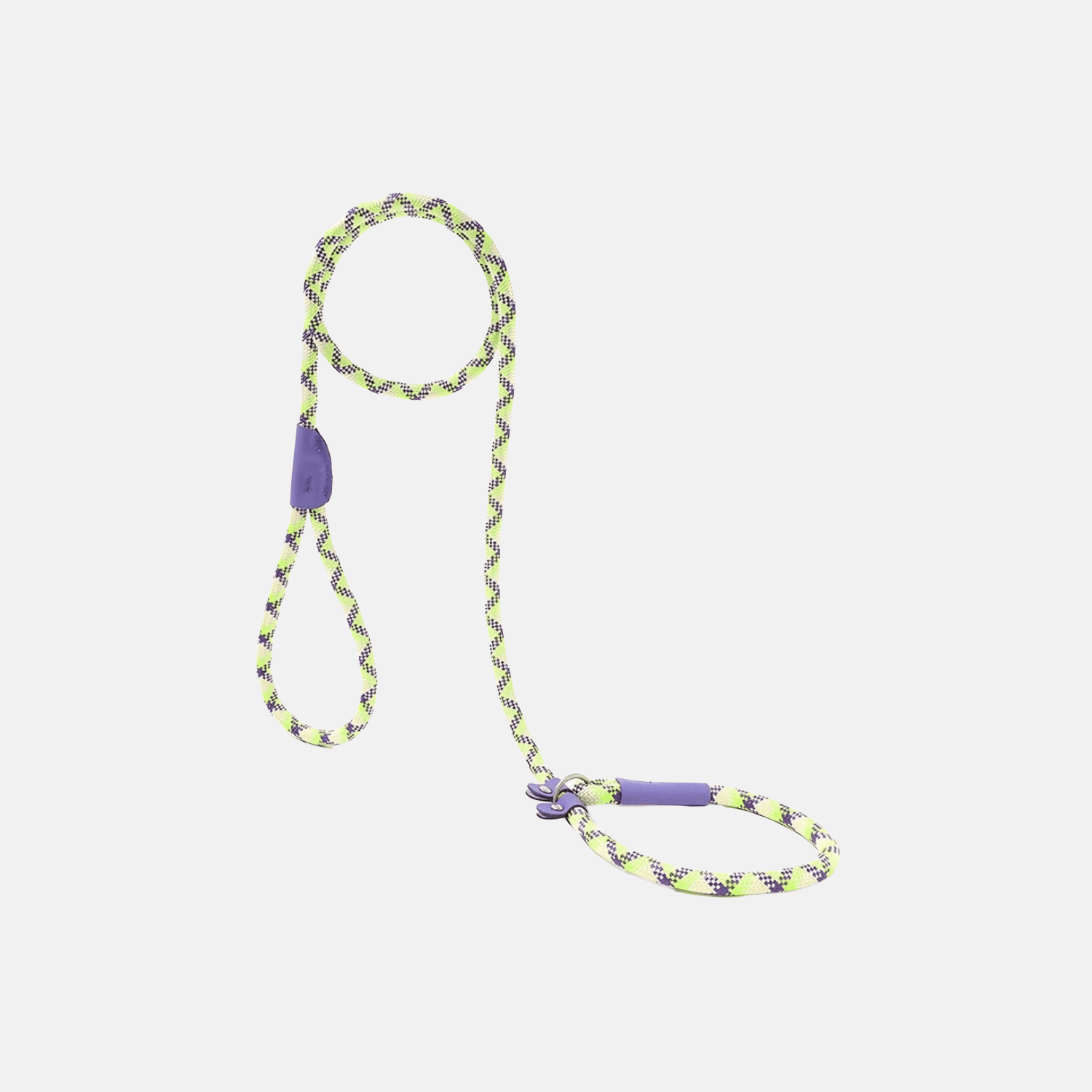 Correction Leash