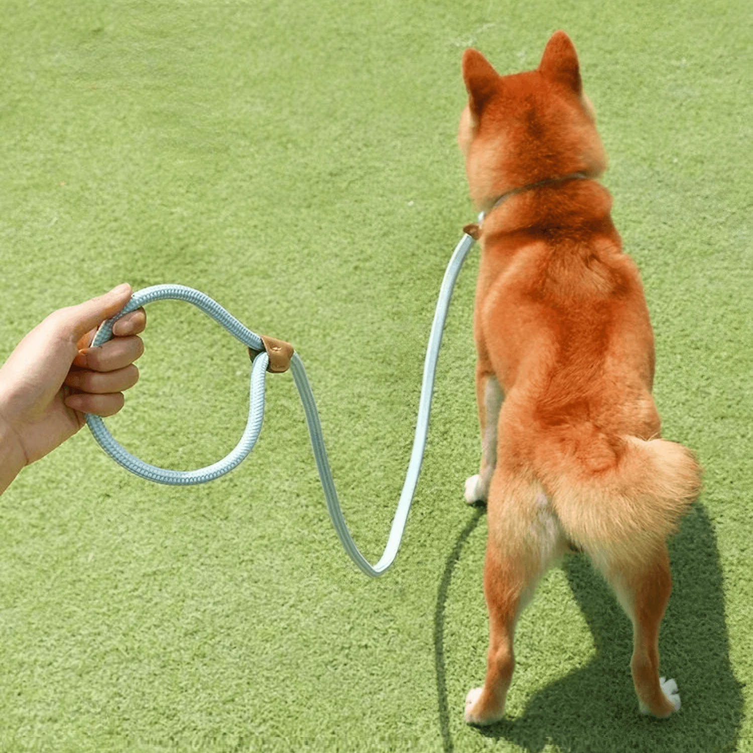 Correction Leash
