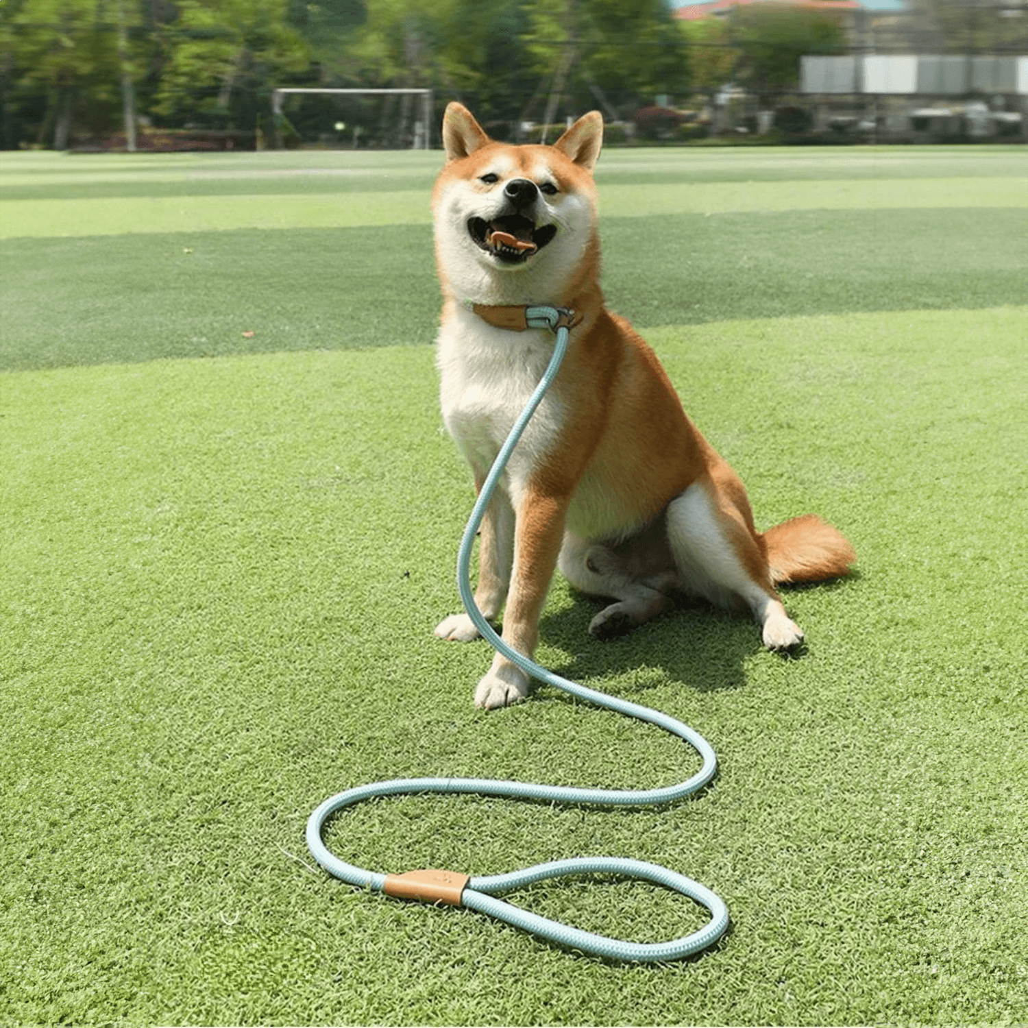 Correction Leash