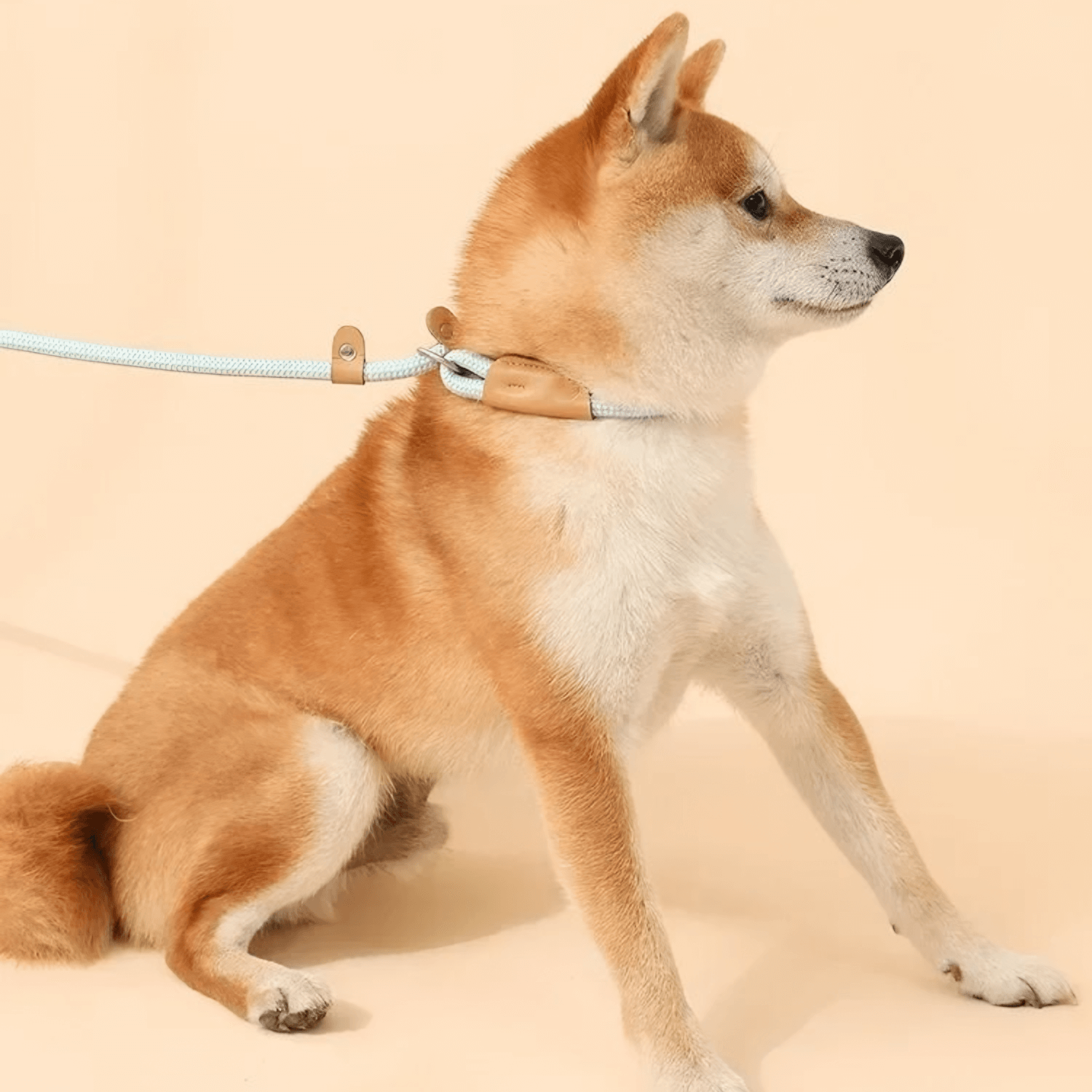 Correction Leash