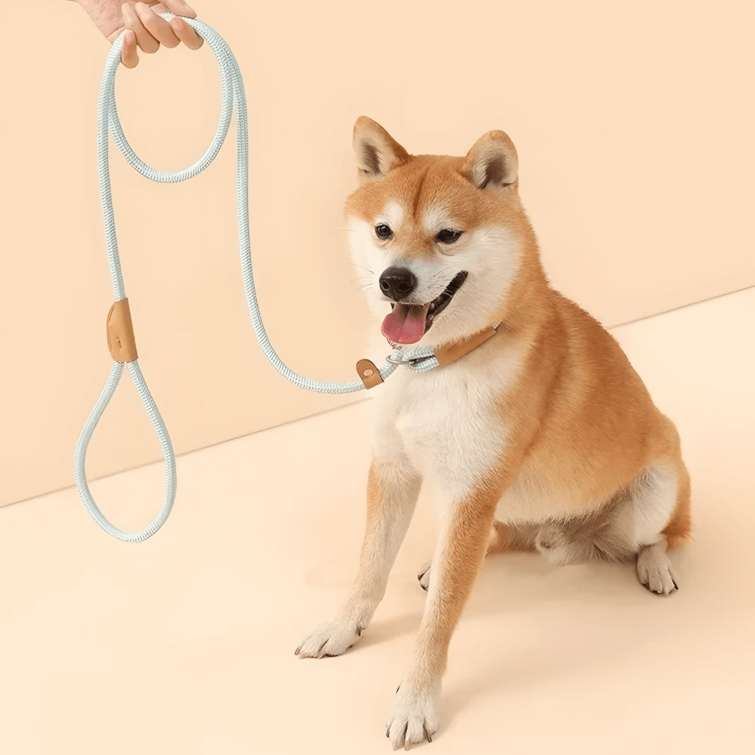 Correction Leash