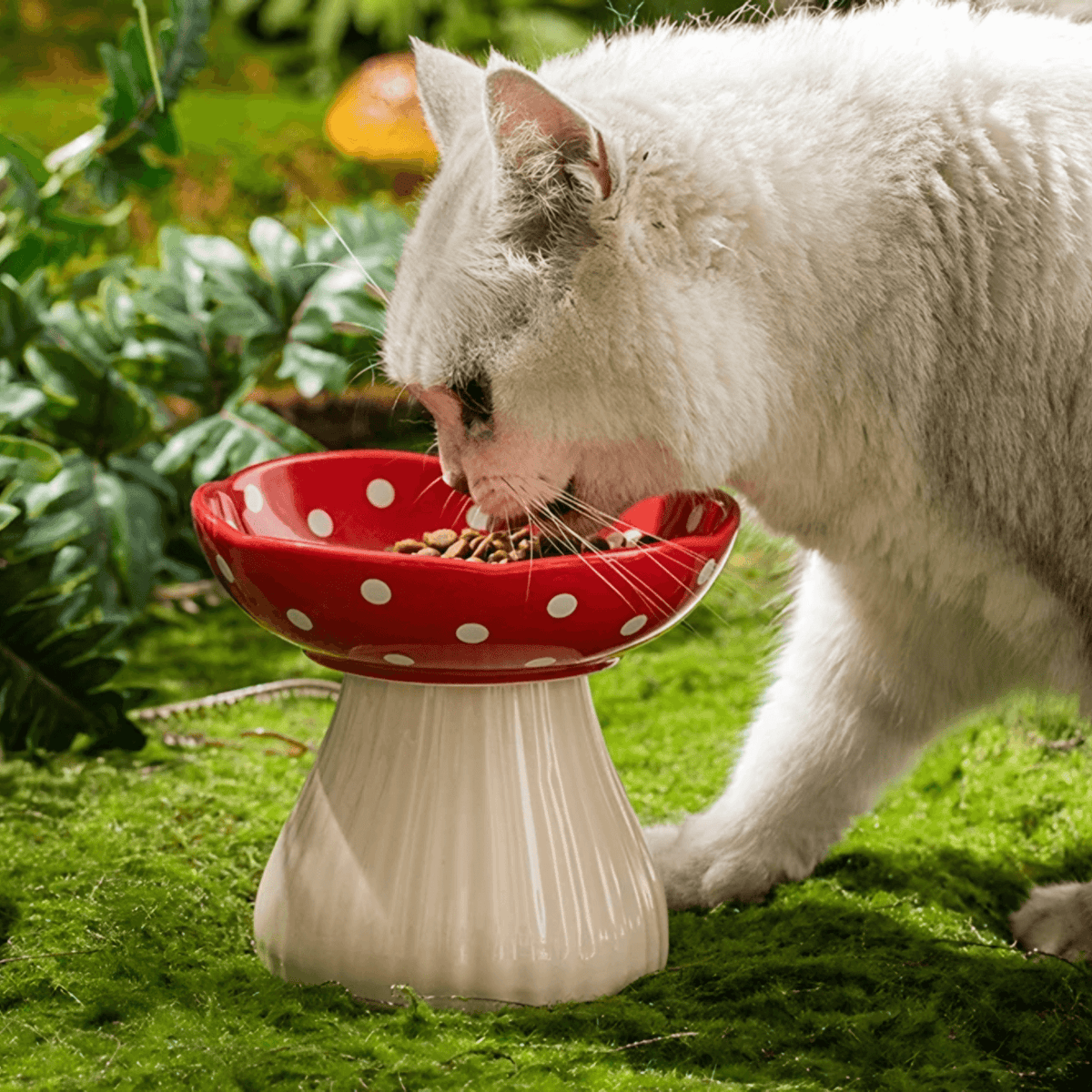 Mushroom Elevated Bowl