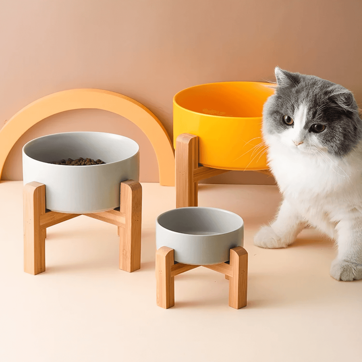 Ceramic Elevated Bowl