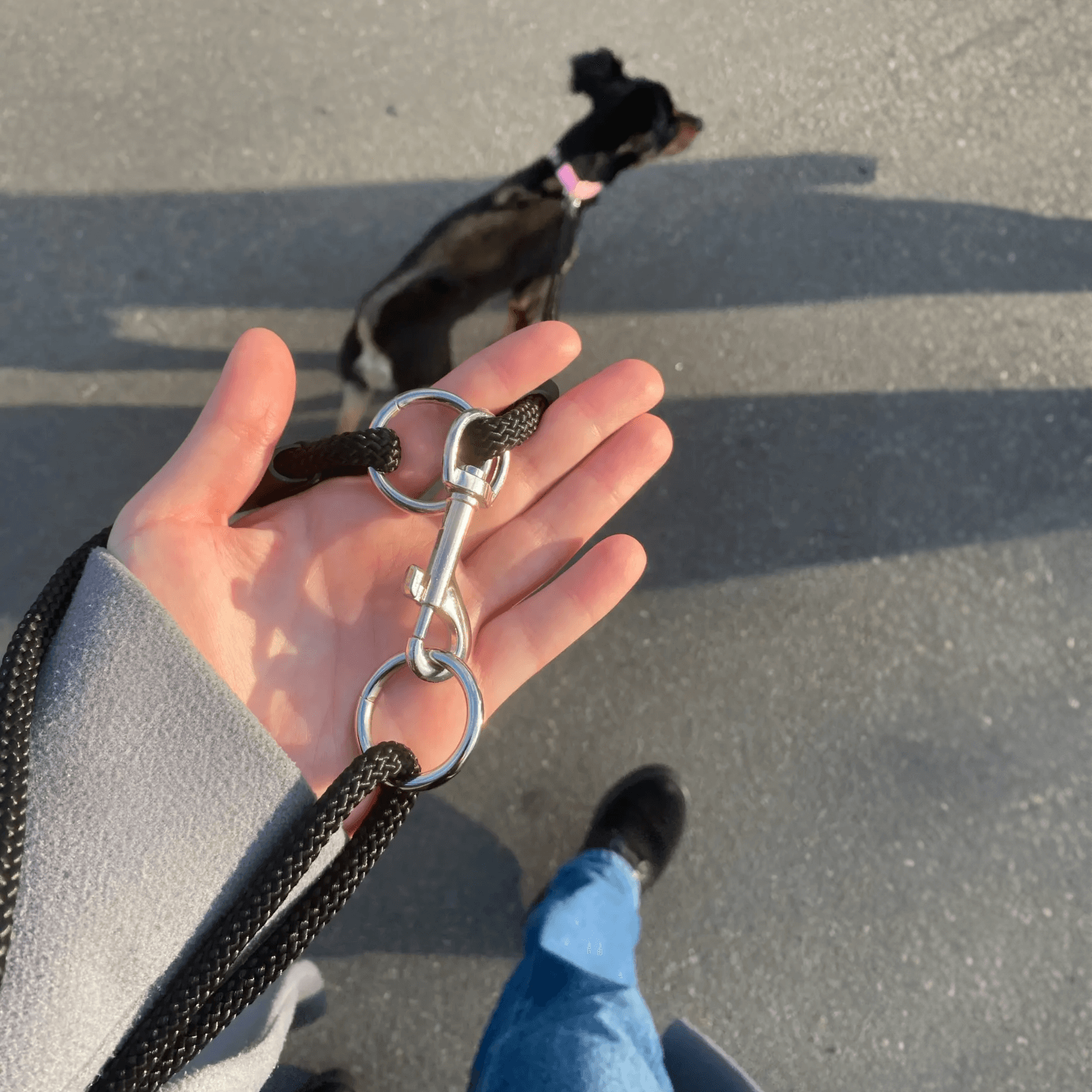 Beltie Leash