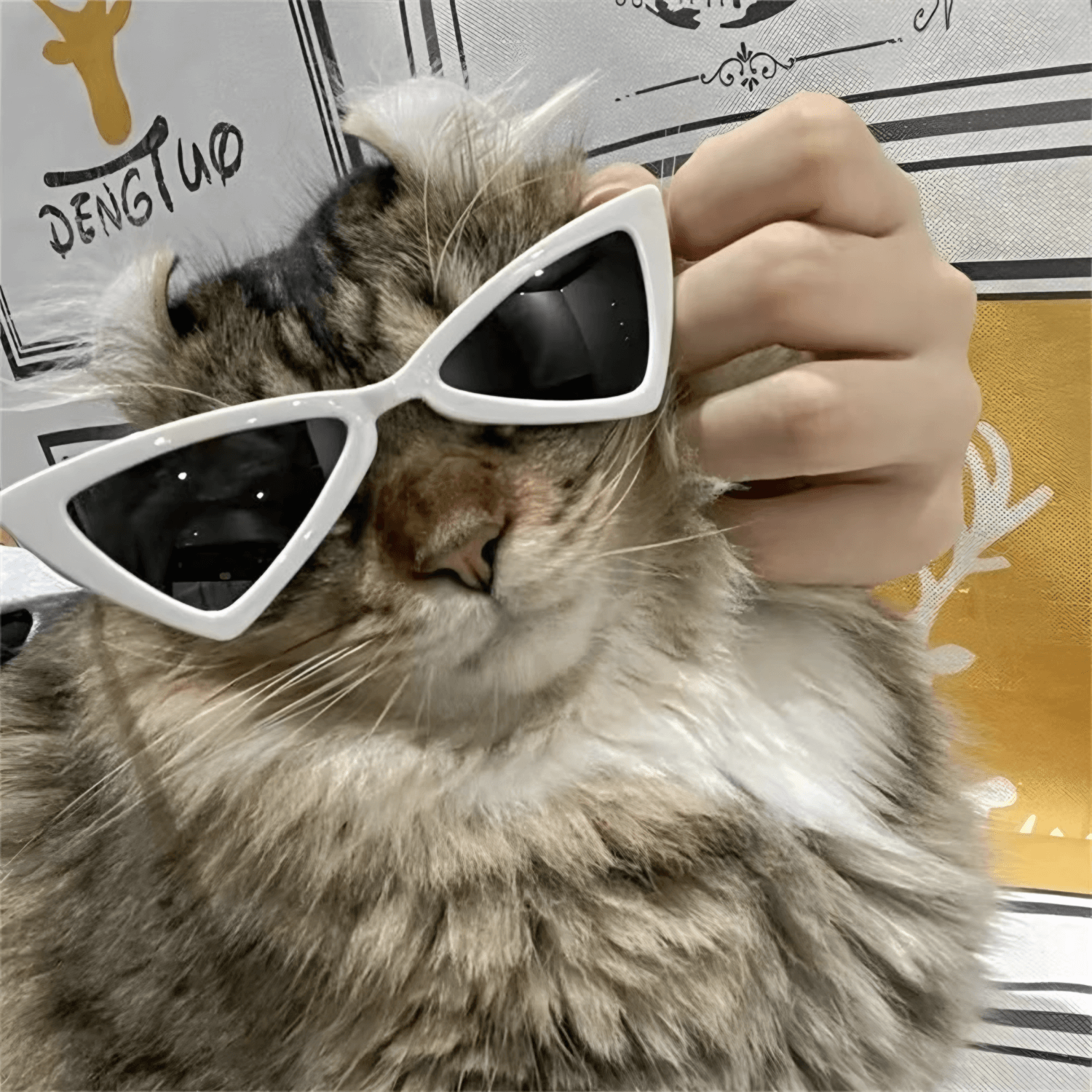 Doritos Glasses
