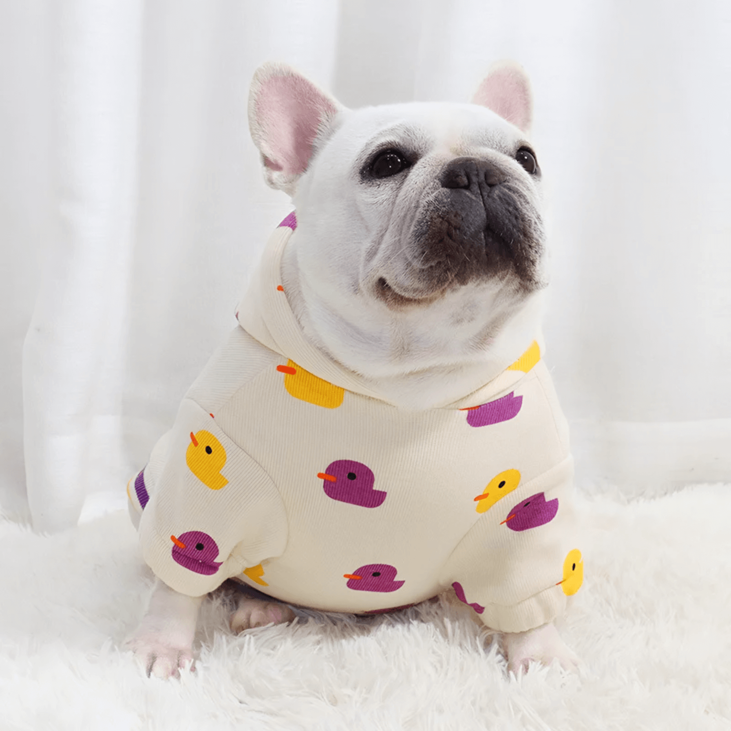 Ducks Sweatshirt Outfit