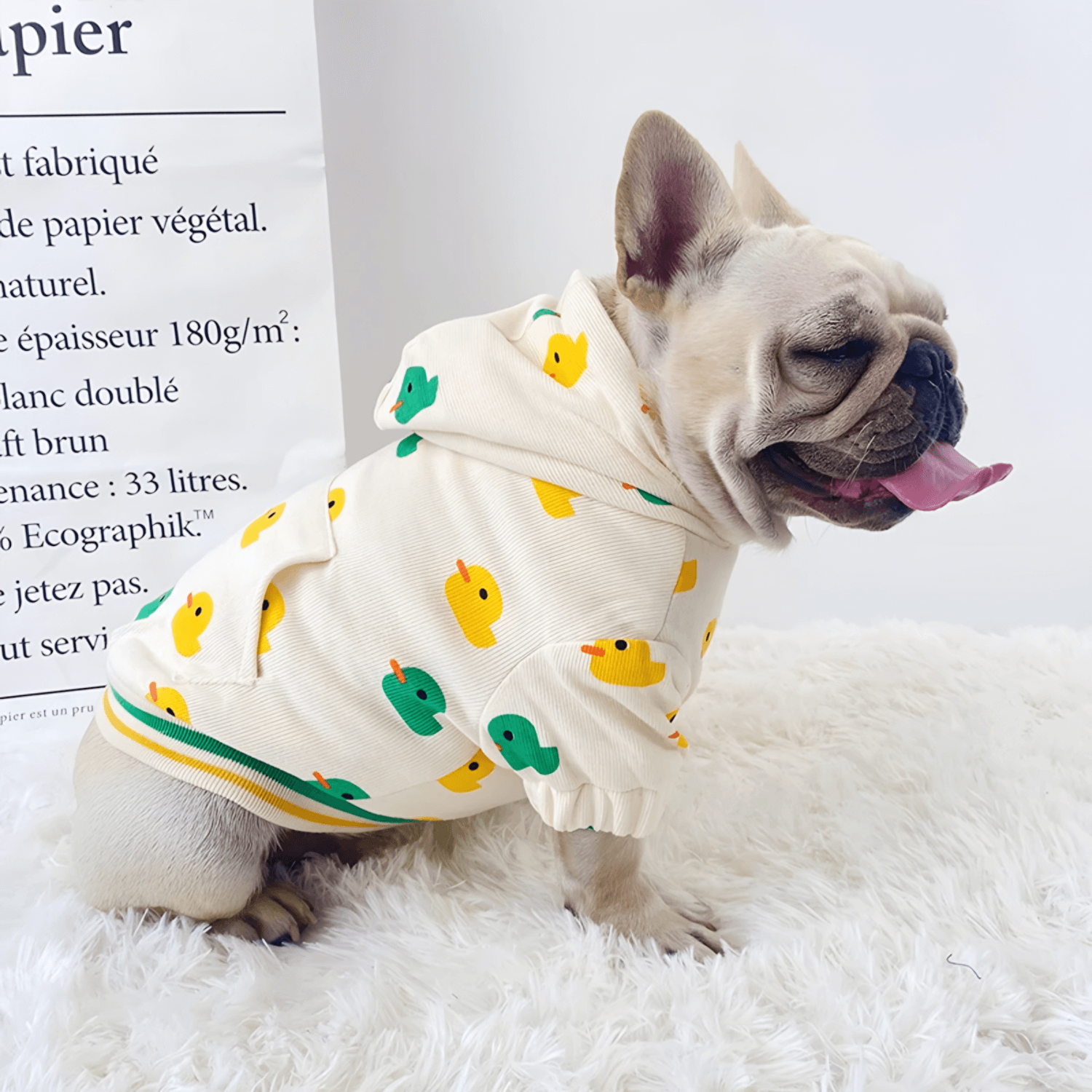 Ducks Sweatshirt Outfit