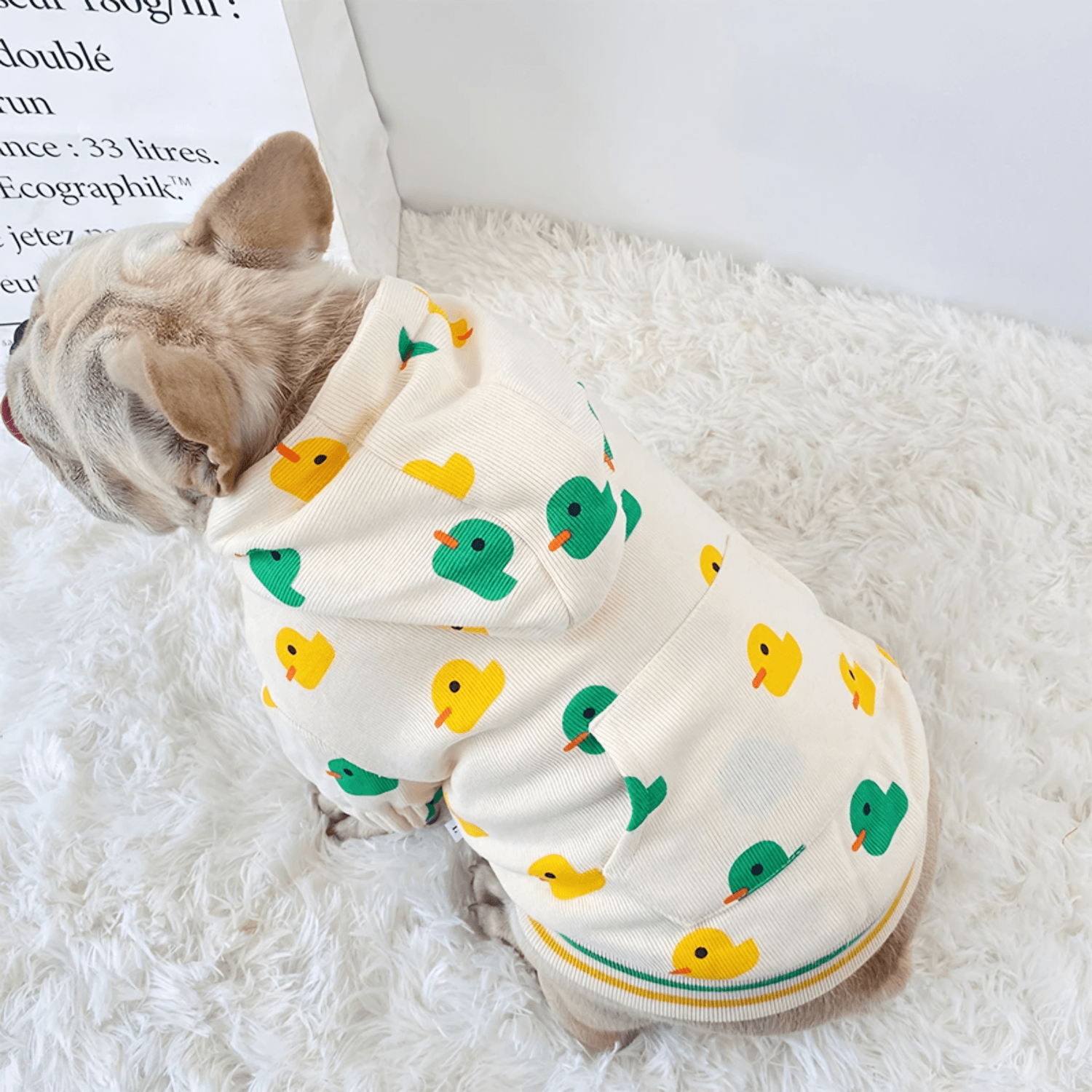Ducks Sweatshirt Outfit
