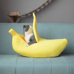 Caminha Banana